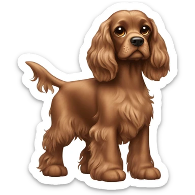 Brown cocker spaniel with a little Mohawk sticker