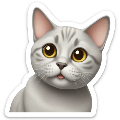 British short hair cat sticker
