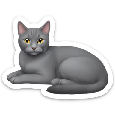 fluffy grey korat breed cat sleeping female sticker