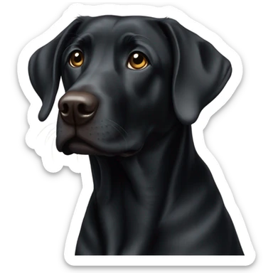 Black lab sticker