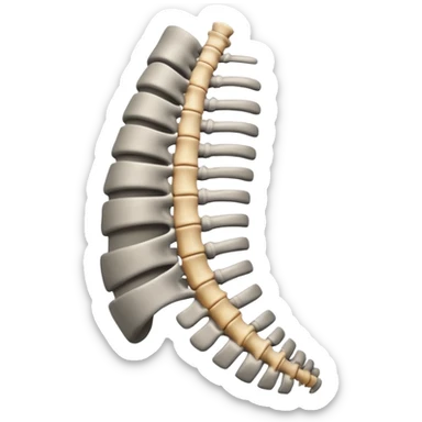 human spine emoji showing slight scoliosis sticker