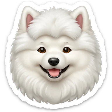 Samoyed
 sticker