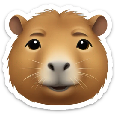 capybara after sleeping  sticker