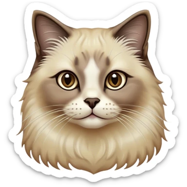Cinematic Adorable Fluffy Brown Seal Ragdoll Cat Portrait Emoji, Head tilted elegantly with big, sparkling eyes, soft brown fur with darker seal points on the ears, face, and paws, Simplified yet regal features, highly detailed, glowing with a soft, warm glow, high shine, affectionate and playful, stylized with a touch of grace, bright and endearing, soft glowing outline, capturing the essence of a majestic and loving kitty, so elegant it feels like it could spring into motion with a regal leap! sticker