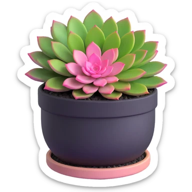 3D style succulent plant with pink and green leaves in a round pot sticker