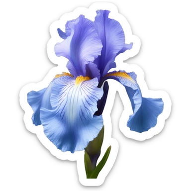 Light blue Bearded Iris flower sticker