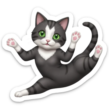 beautiful female solid dark grey cat with green eyes, white toes/paws and white patch on her chest playfully rolling upside down sticker