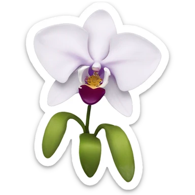 Orchid sticker