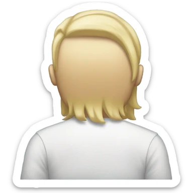 male mid long normal blonde hair rear sticker