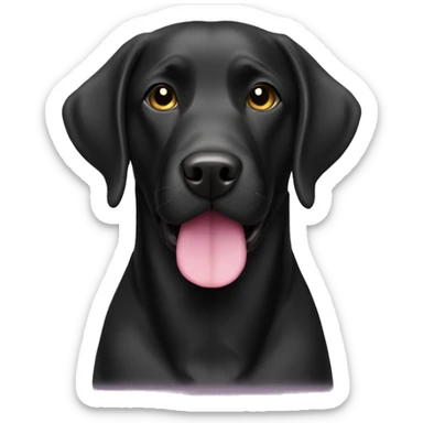 Black Labrador retriever with pink collar sticker