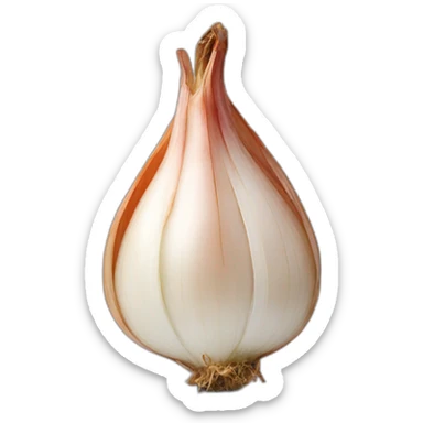 shallot sticker