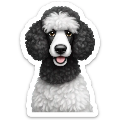 Black and white standard poodle sticker