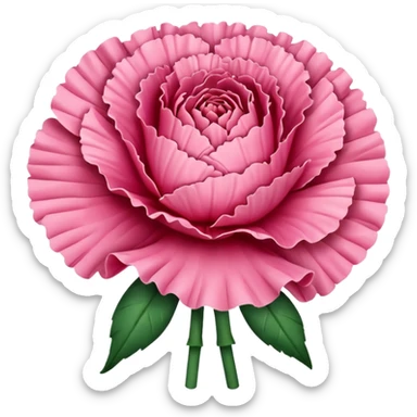 carnation sticker