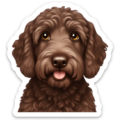 chocolate labradoodle sticker