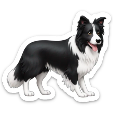 border collie dog walking with his owner sticker