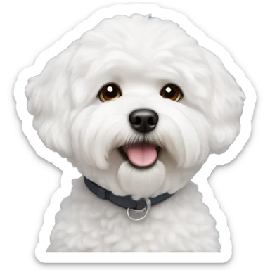 Bichon frise  sticker