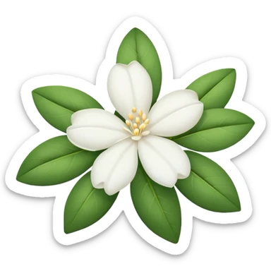 White jasmine flower emoji remove all leafs sticker