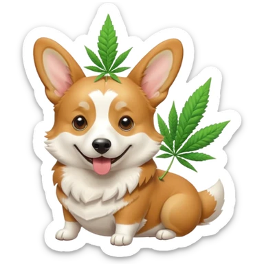 Tan and white Corgi with marijuana  sticker