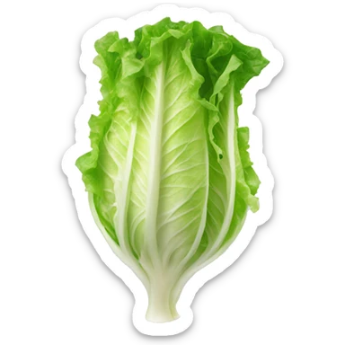 Shredded Lettuce sticker