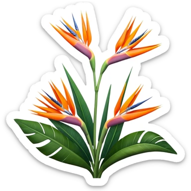 luxuriant, big bouquet Strelitzia Reginae, stem, leaf sticker
