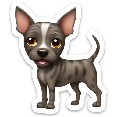 Brindle American hairless terrier smiling sticker