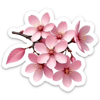 Sakura  sticker