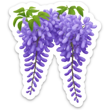 Wisteria vine sticker