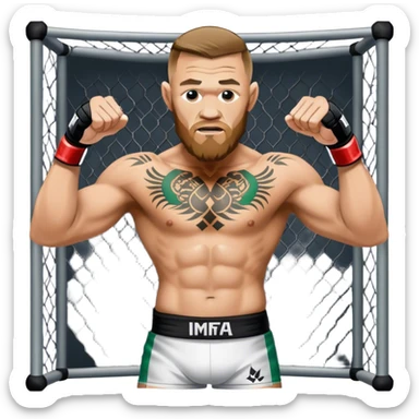 Conor mcreggor in the mma cage with whiskey sticker