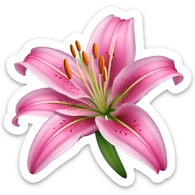 pink lily sticker