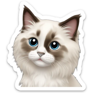 colorpointe ragdoll kitten sticker