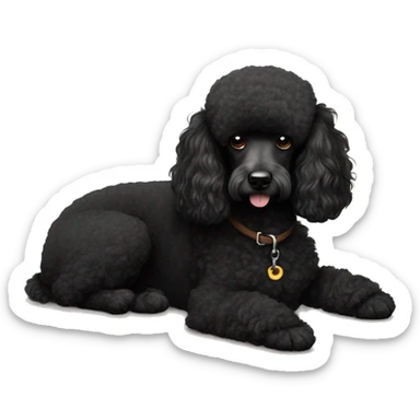 3 legs One Small unshaved Black Poodle with brown harness is  sleeping sticker