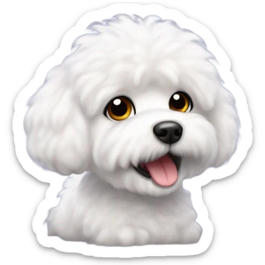 Bichon frize  sticker