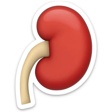 Kidney sticker