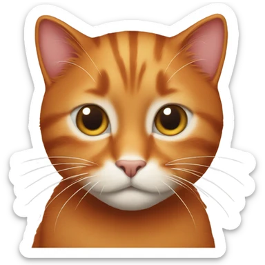 Red cat with a white belly sticker