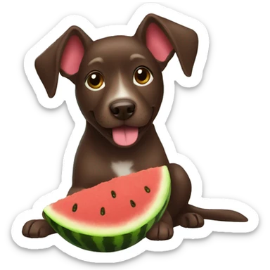 chocolate brown dog with short hair eating a watermelon sticker