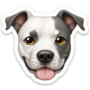 Staffie chien une oreille blanche et l’autre gris  sticker