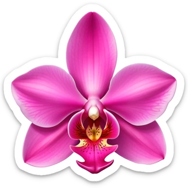 Elegant pink phalaenopsis moth orchid with vibrant rosy petals and two visible green leaves at the base sticker