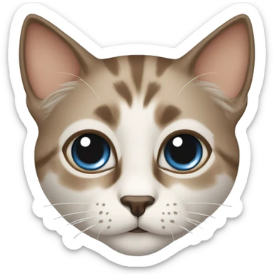 illustration of a cat with large, expressive blue eyes with light brown fur with dark brown markings on the muzzle, ears and paws sticker