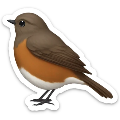 brown jacky winter robin sticker