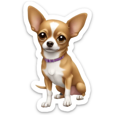 A little brown chihuahua in front of a laptot sticker