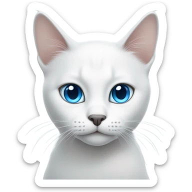 White cat with blue eyes and a gray ear sticker