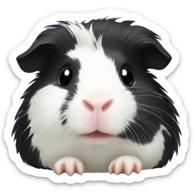 Guinea pig black sticker