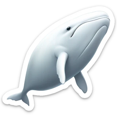 white whale , underside sticker