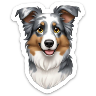 Australian sheperd blue merle sticker