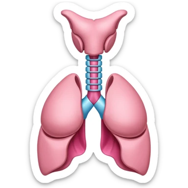 Thyroid gland sticker