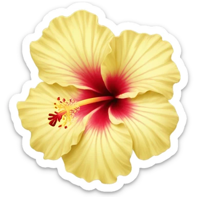 light yellow hibiscus sticker
