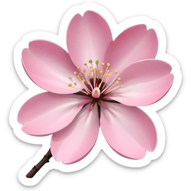 pink framed photo of a blossom sticker