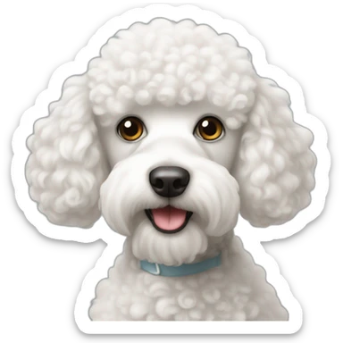 little-White-poodle sticker