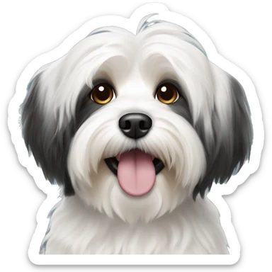 Black and white Havanese dog sticker