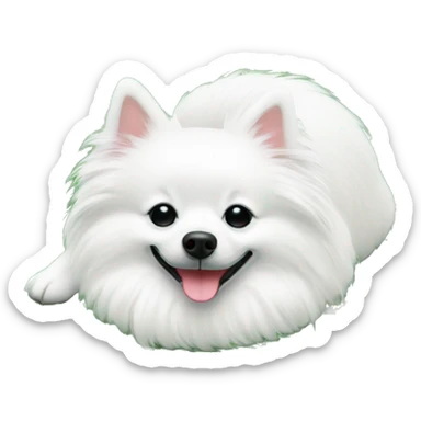 White german spitz sleep in the grass sticker